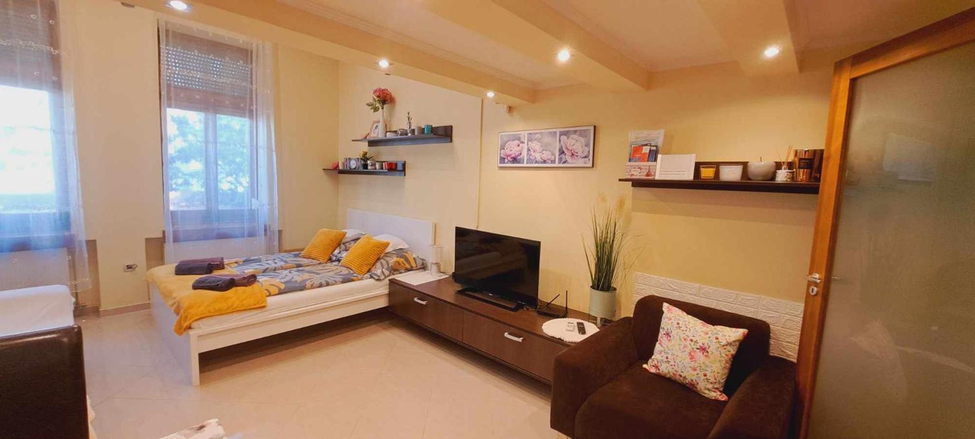 Szandi Belvarosi Apartman Сегед Экстерьер фото