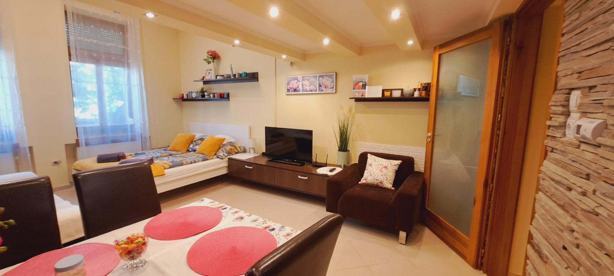 Szandi Belvarosi Apartman Сегед Экстерьер фото